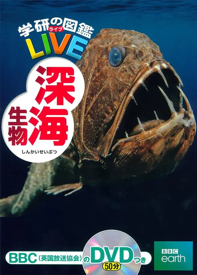 親子で深海の冒険へ！子供向けの深海魚図鑑おすすめ8選 - 深海Collectite